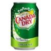 Canada Dry - 355ml
