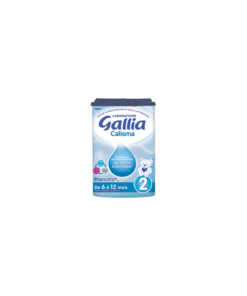 GALLIA CALISMA 2
